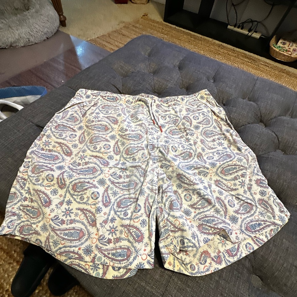 Katin Paisley Swim Trunks - Multicolor